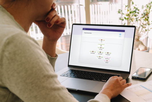 A female using Citation Canada, formerly HRdownloads, organizational chart on her laptop